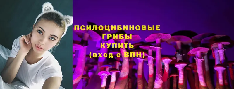 Псилоцибиновые грибы Magic Shrooms  Петровск 